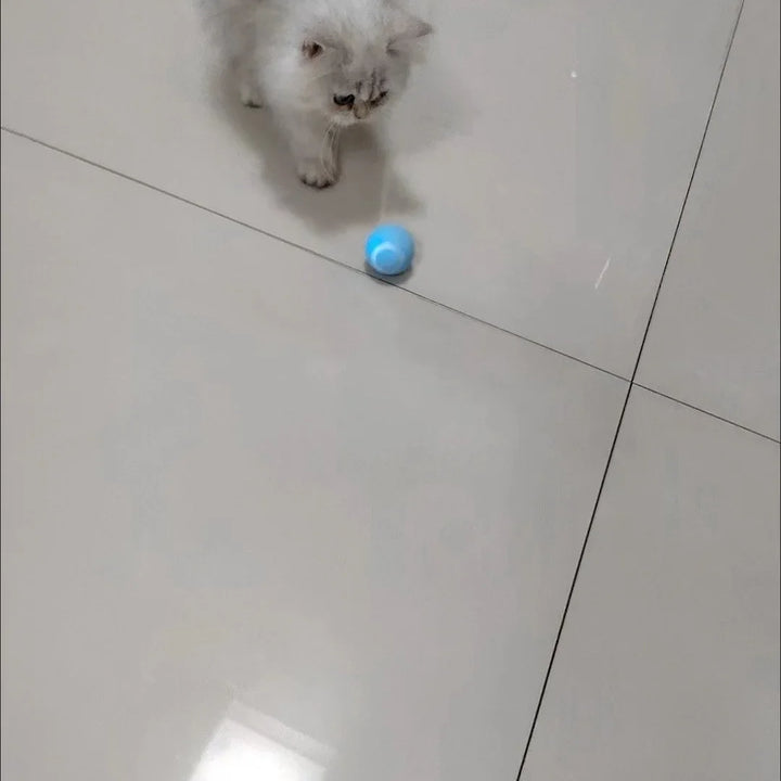 Brinquedo Interativo Inteligente para Gatos - Bola Mágica Eletrônica